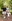Celtic Manor Activities