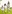 Family Walk Resort Grounds Offer Card