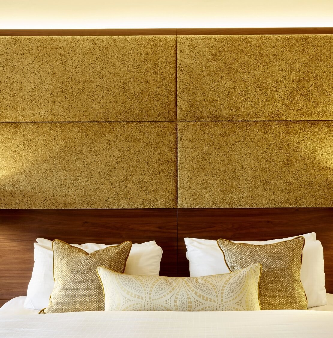 Signature Collection