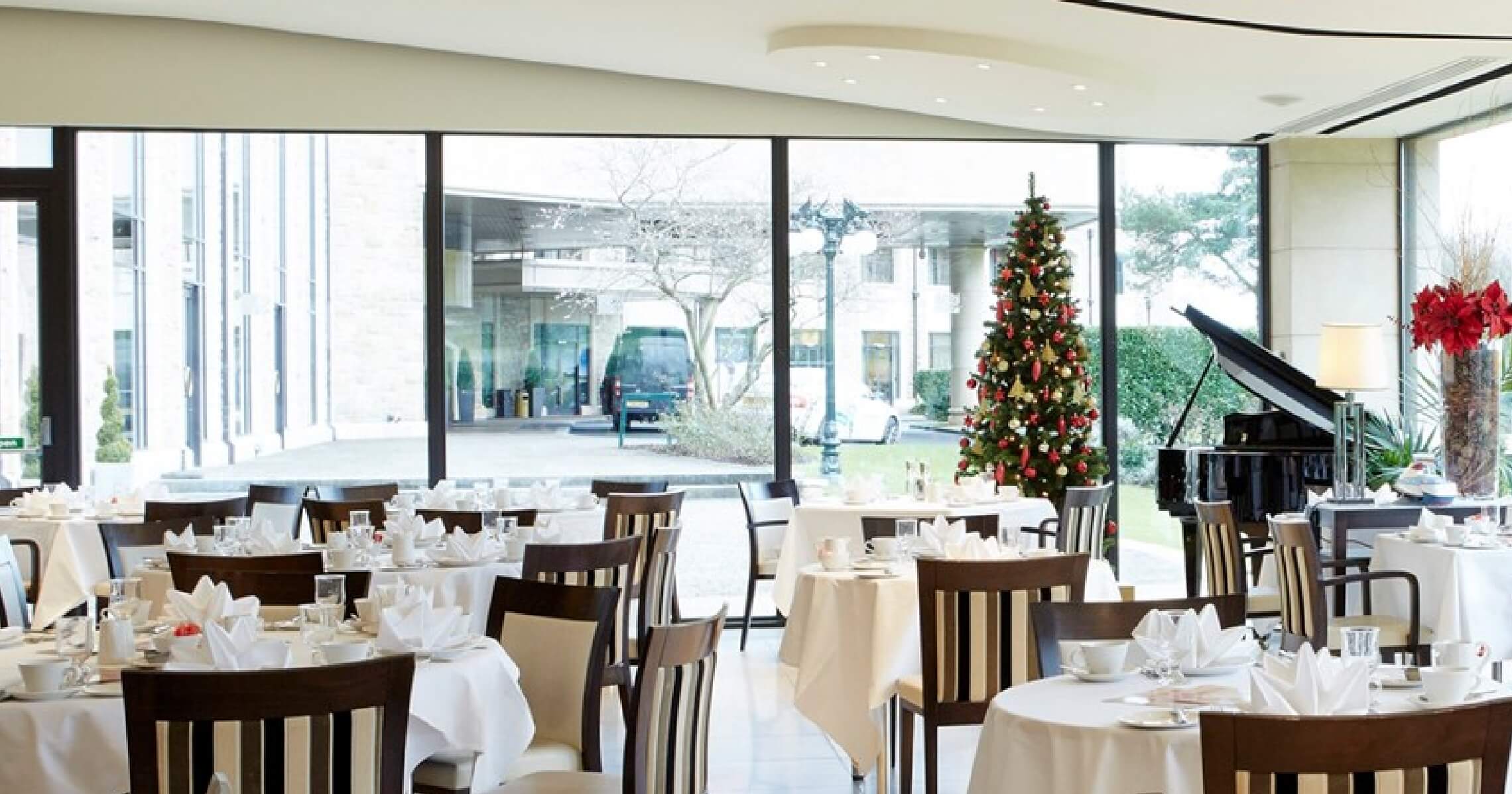 The Olive Tree Christmas Decor