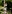 Celtic Manor Activities