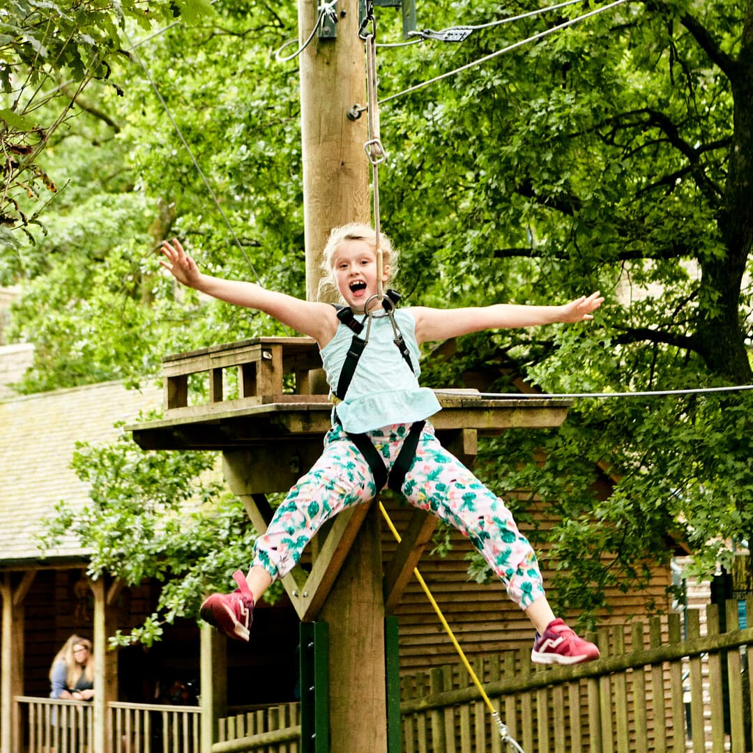 Forest Jump Low Ropes