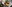 Celtic Manor Festive Dining