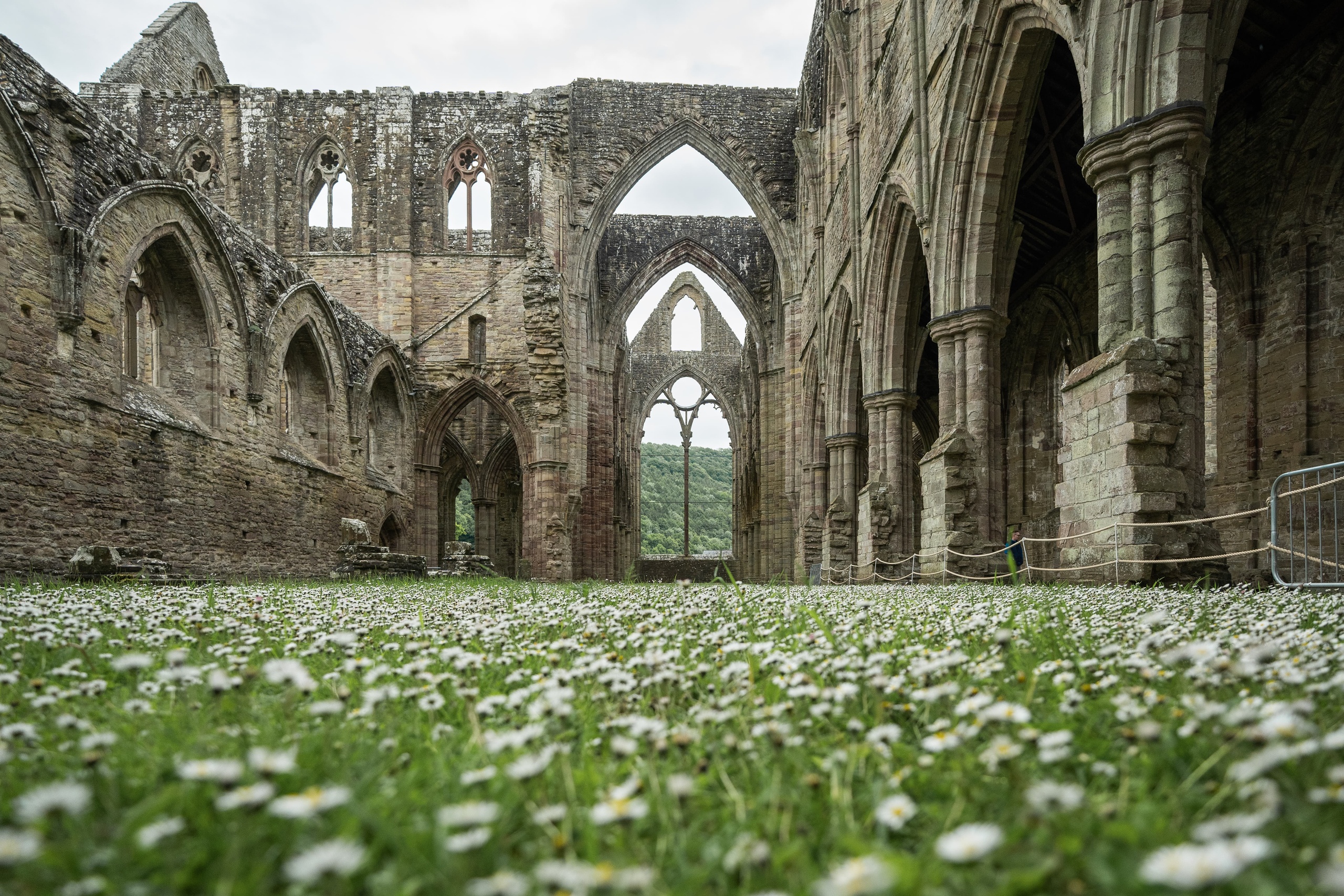 Tintern Abbey