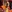 Halloween Pumpkin Carving Activity