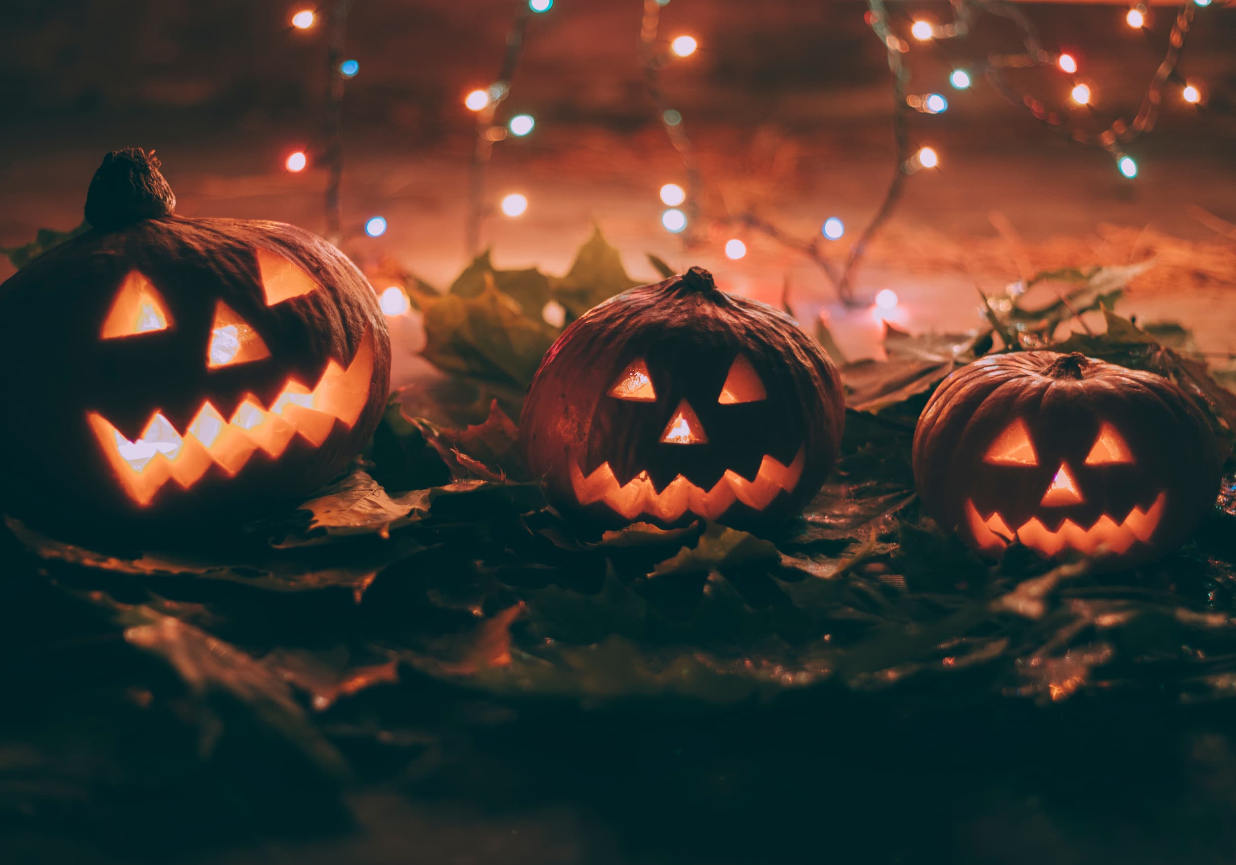 Halloween Theme