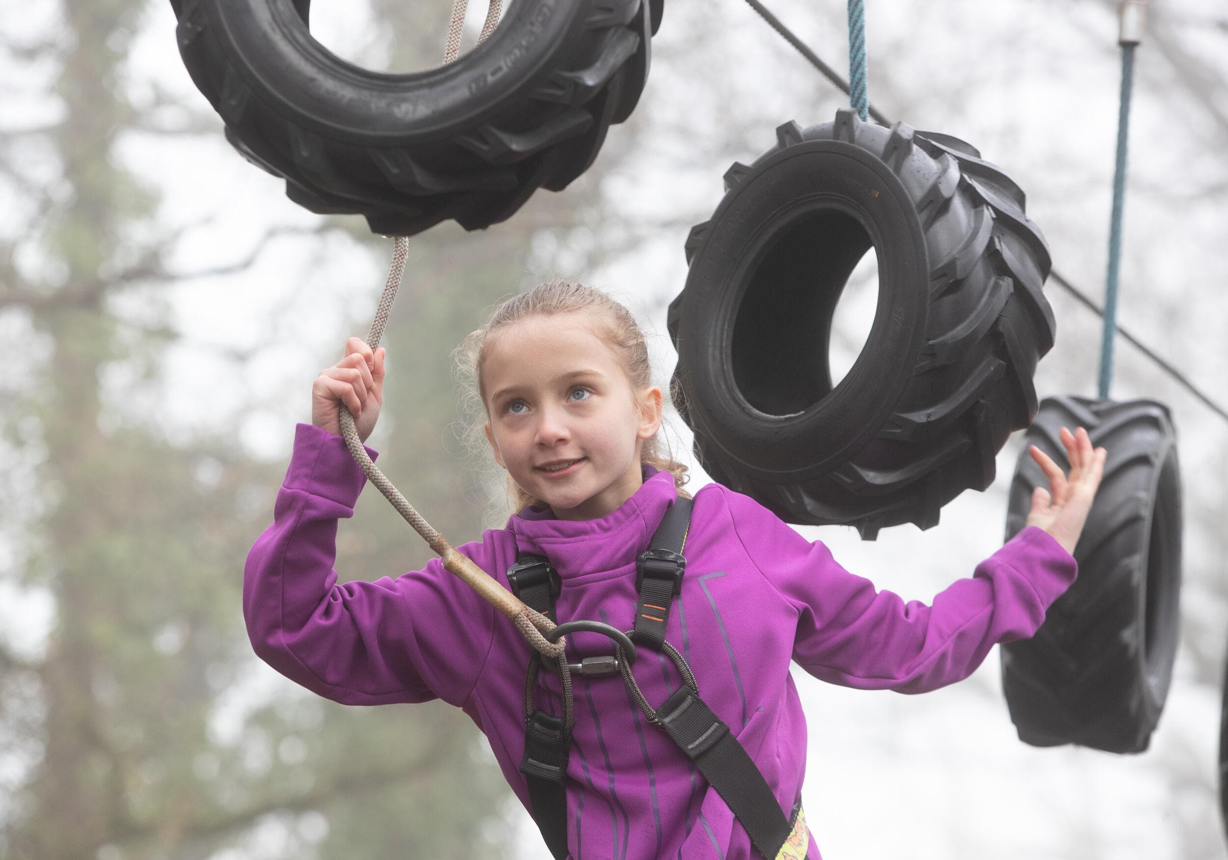 Forest Jump Low Ropes - Celtic Manor Resort