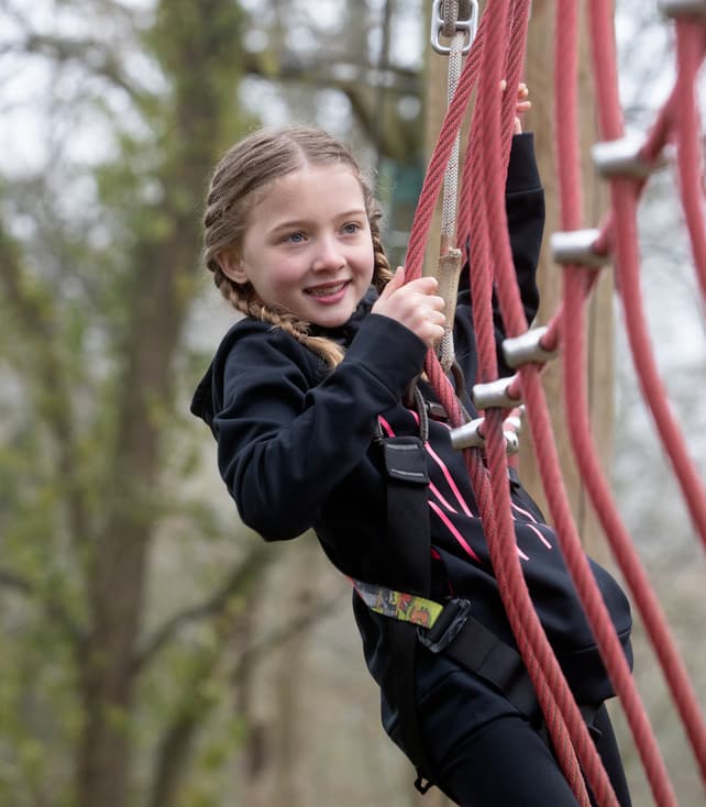 Forest Jump Low Ropes