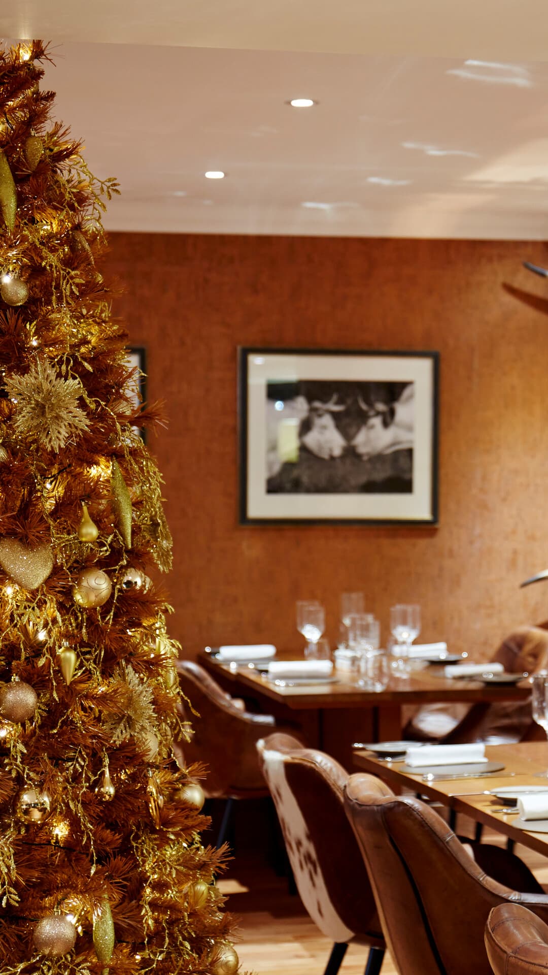 Steak on Six Christmas Decor