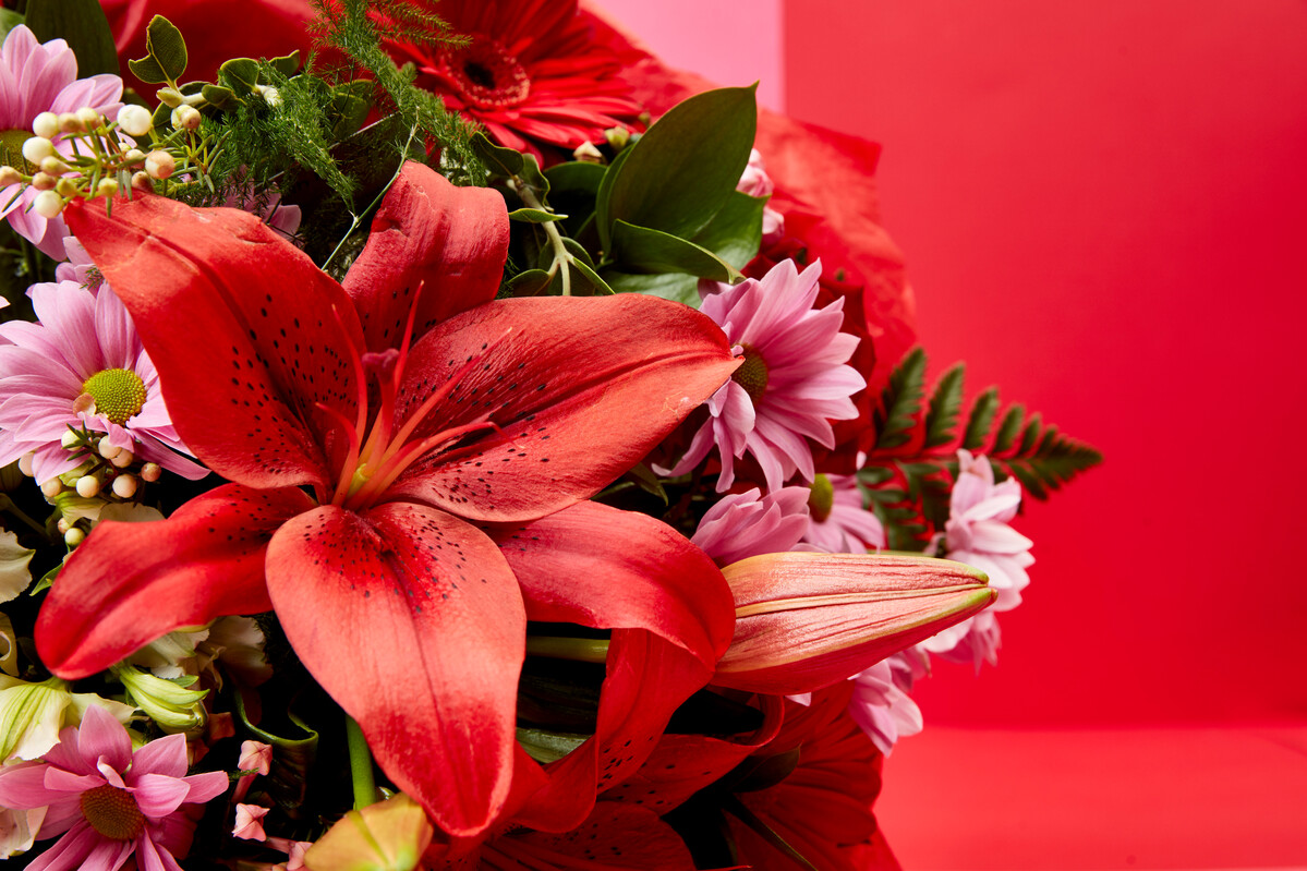 Bouquet of Flowers Room Extra