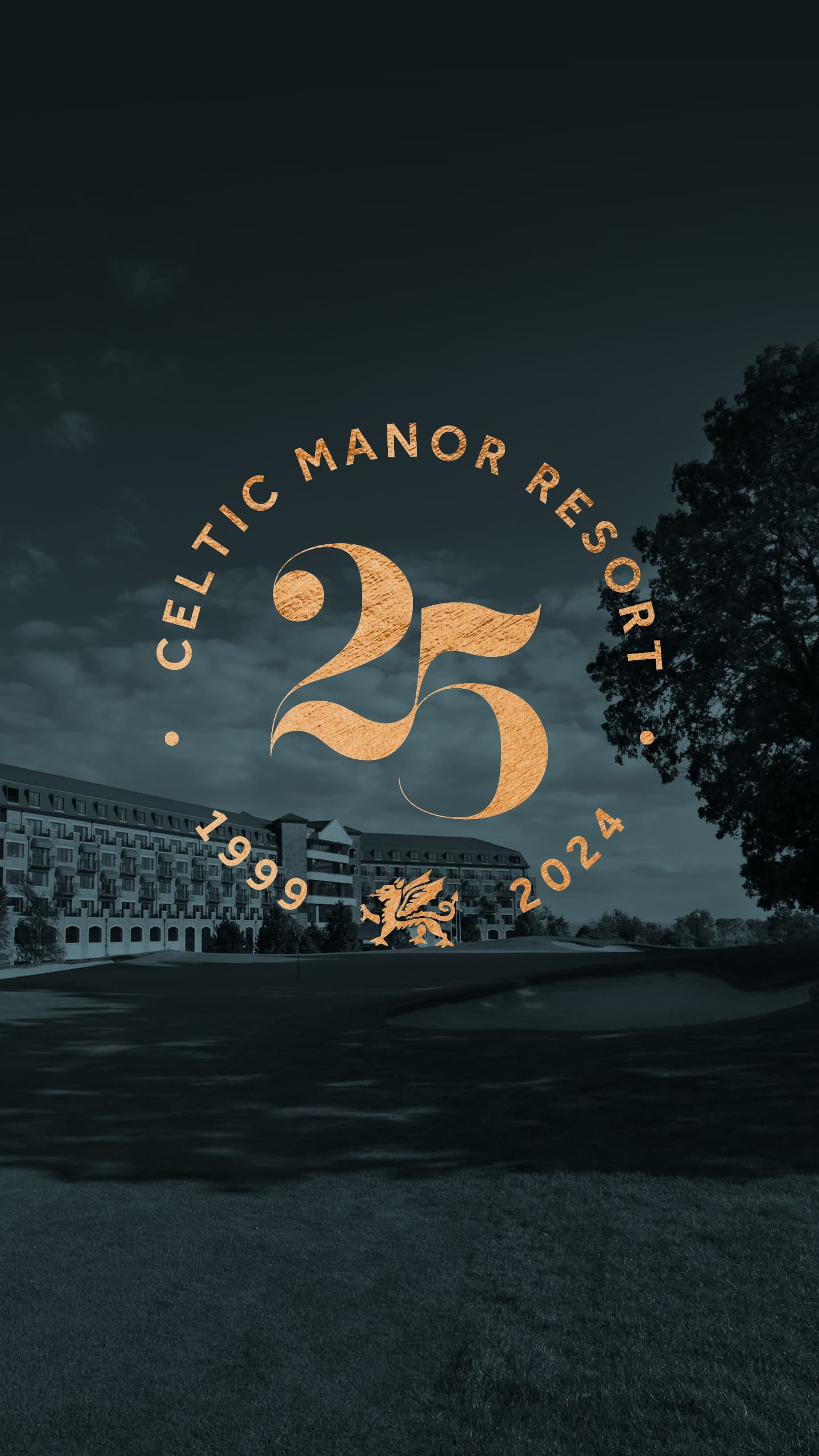 25th Anniversary Banner