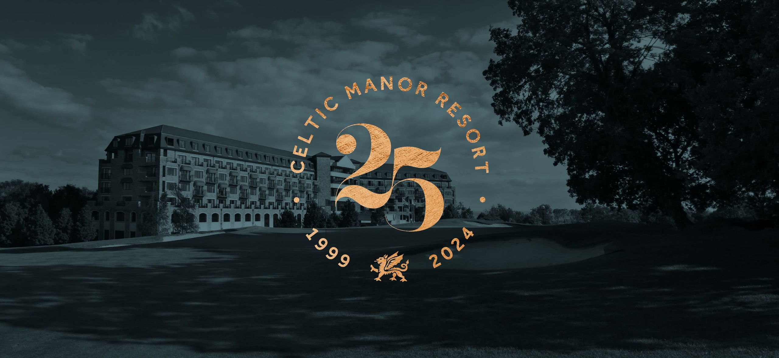 25th Anniversary Banner