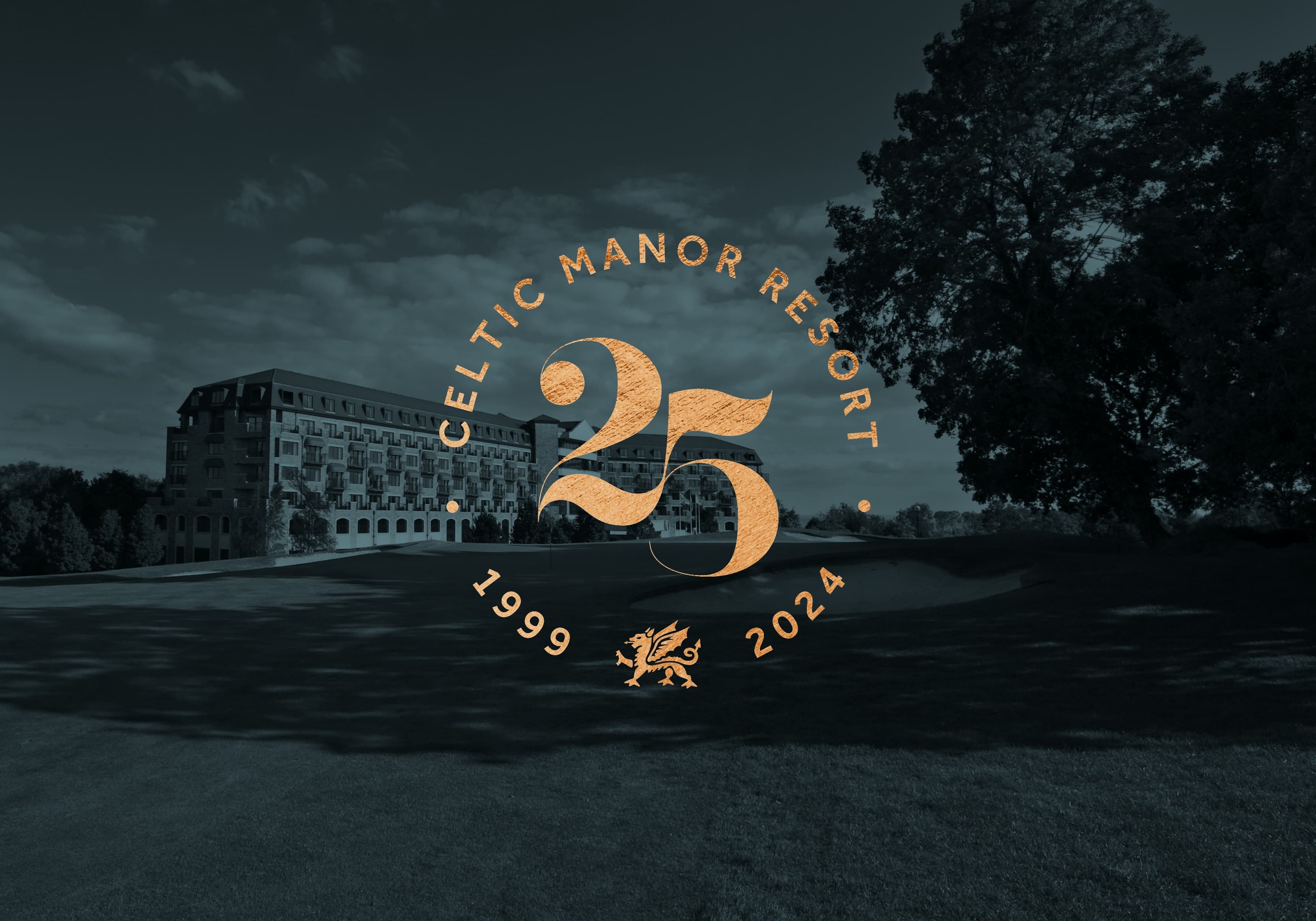 25th Anniversary Banner