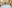 Celtic Manor Weddings