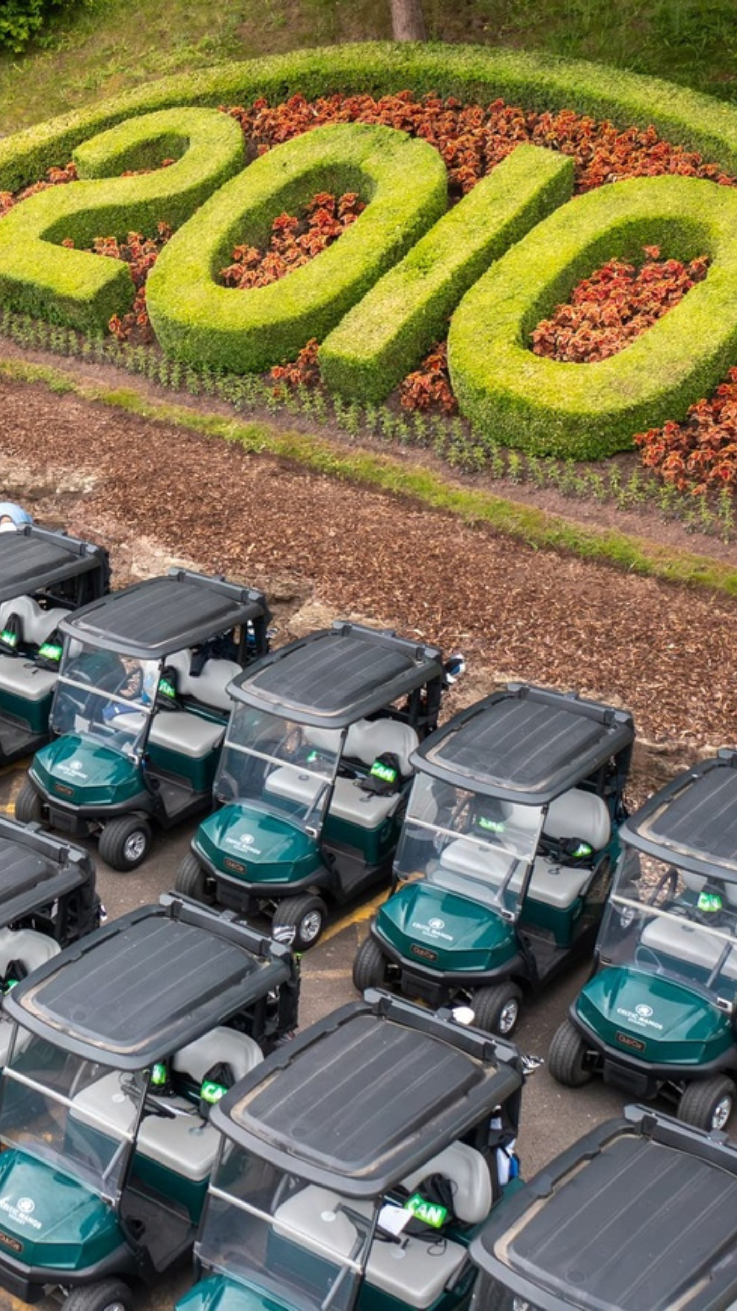 Electric Golf Buggies