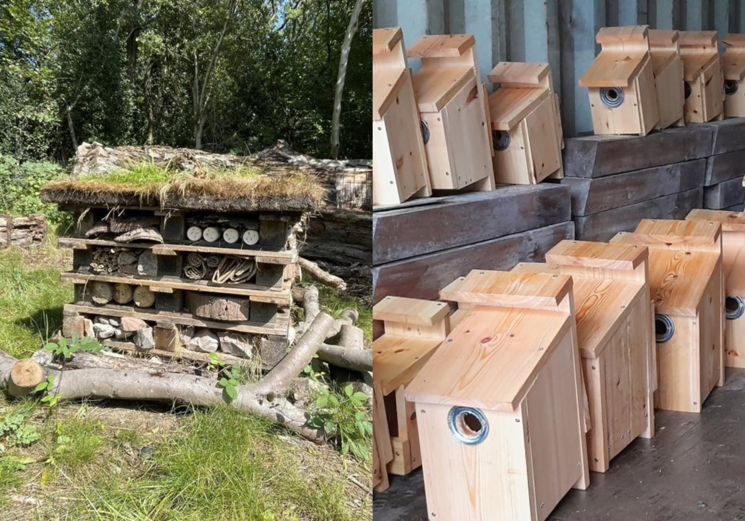 Wildlife Conversation