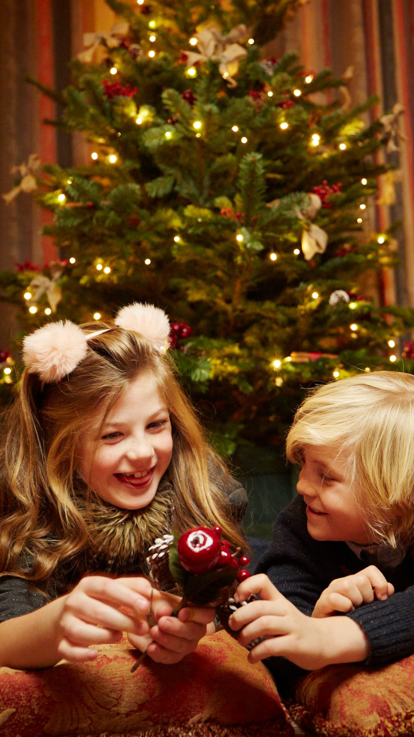 Celtic Manor Christmas Family