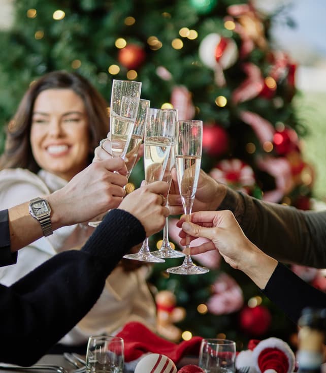 Festive Christmas Party with Friends