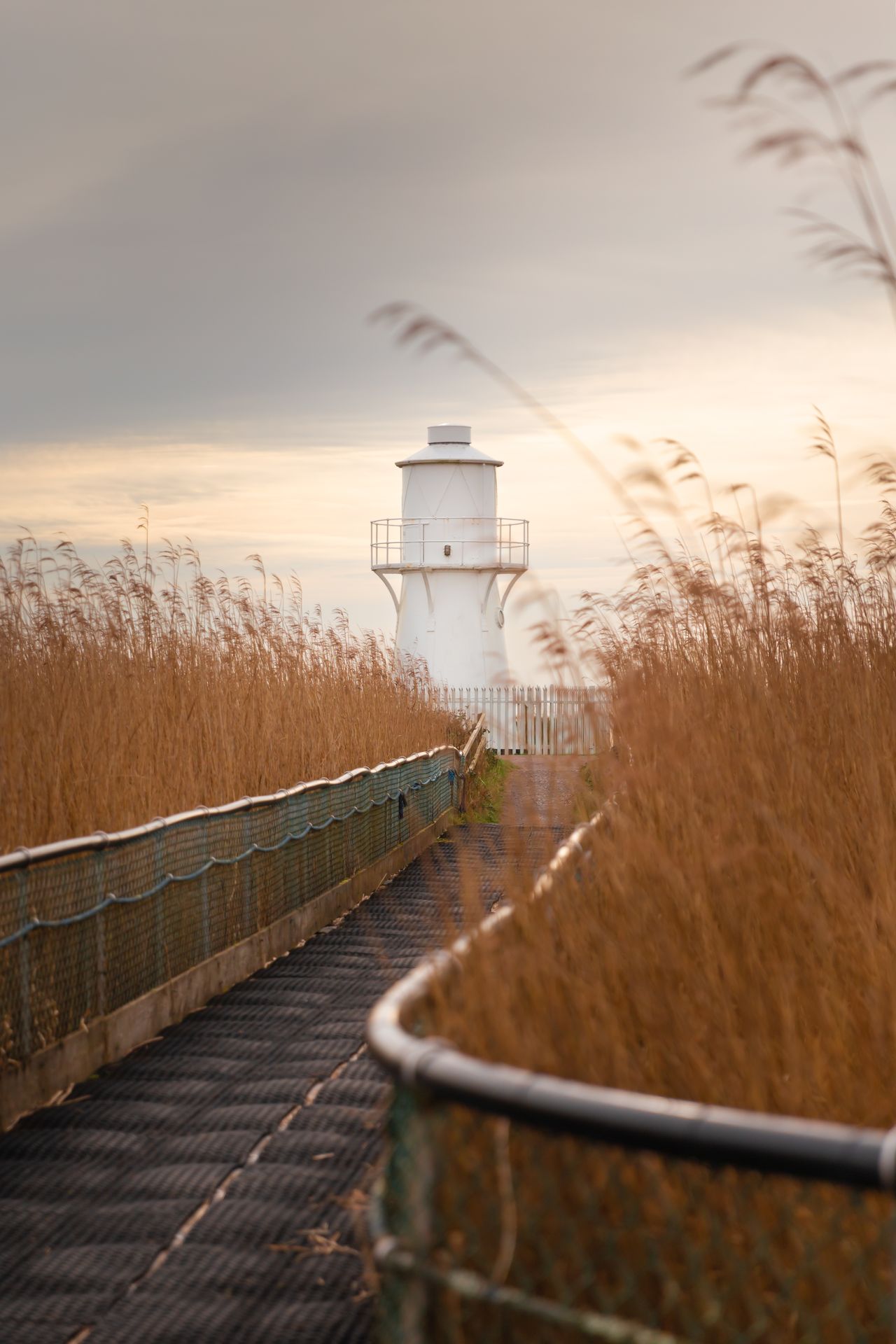 Newport Wetlands National Nature Reserve