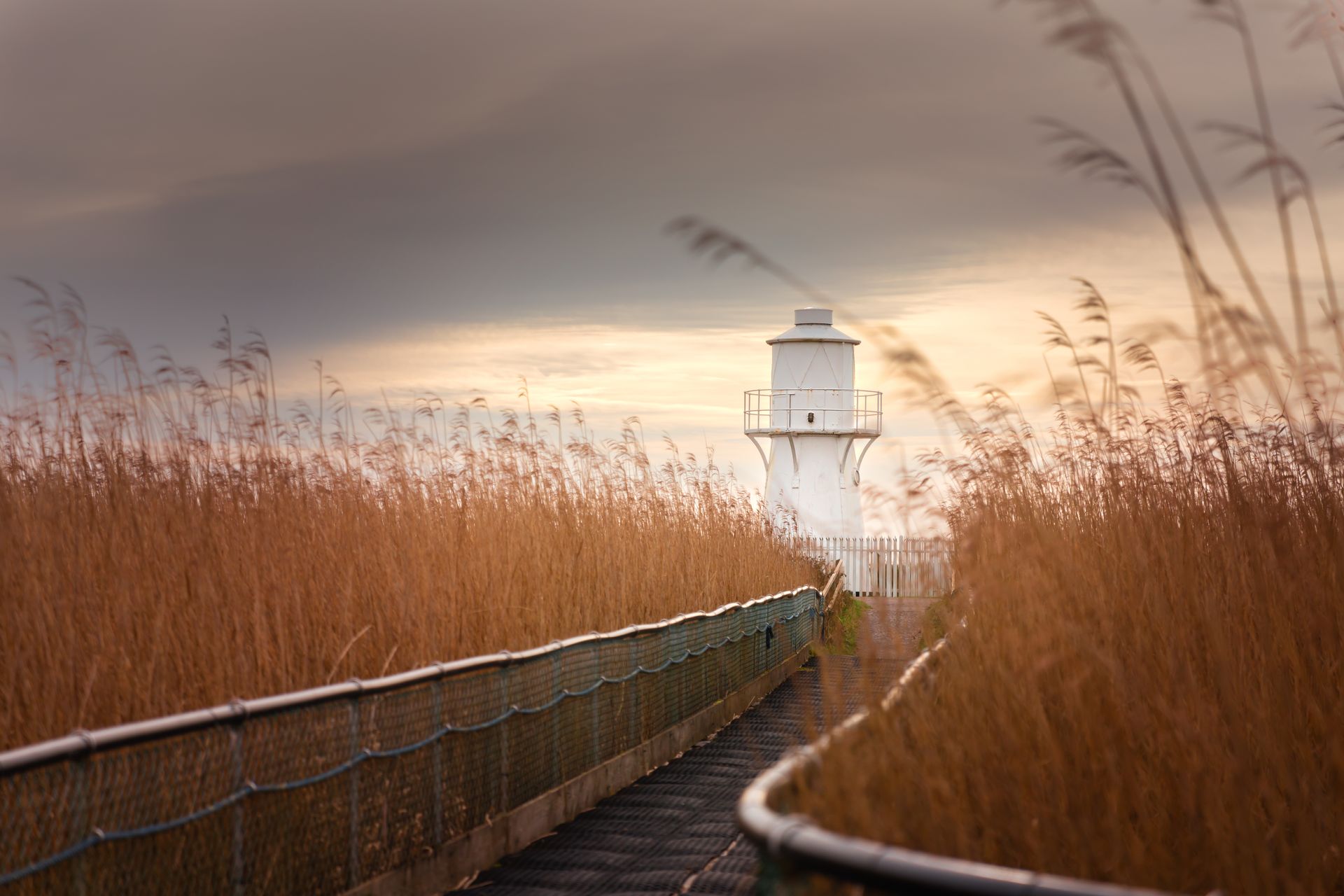 Newport Wetlands National Nature Reserve