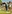 Celtic Manor Adventure Golf