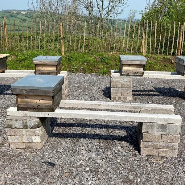Celtic Manor Bee Hives