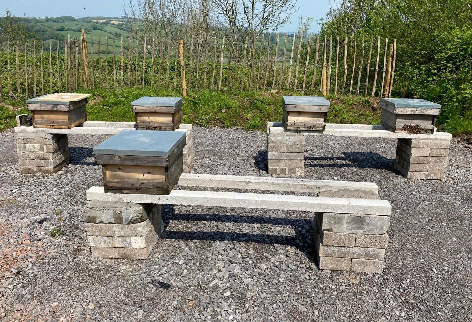 Celtic Manor Bee Hives