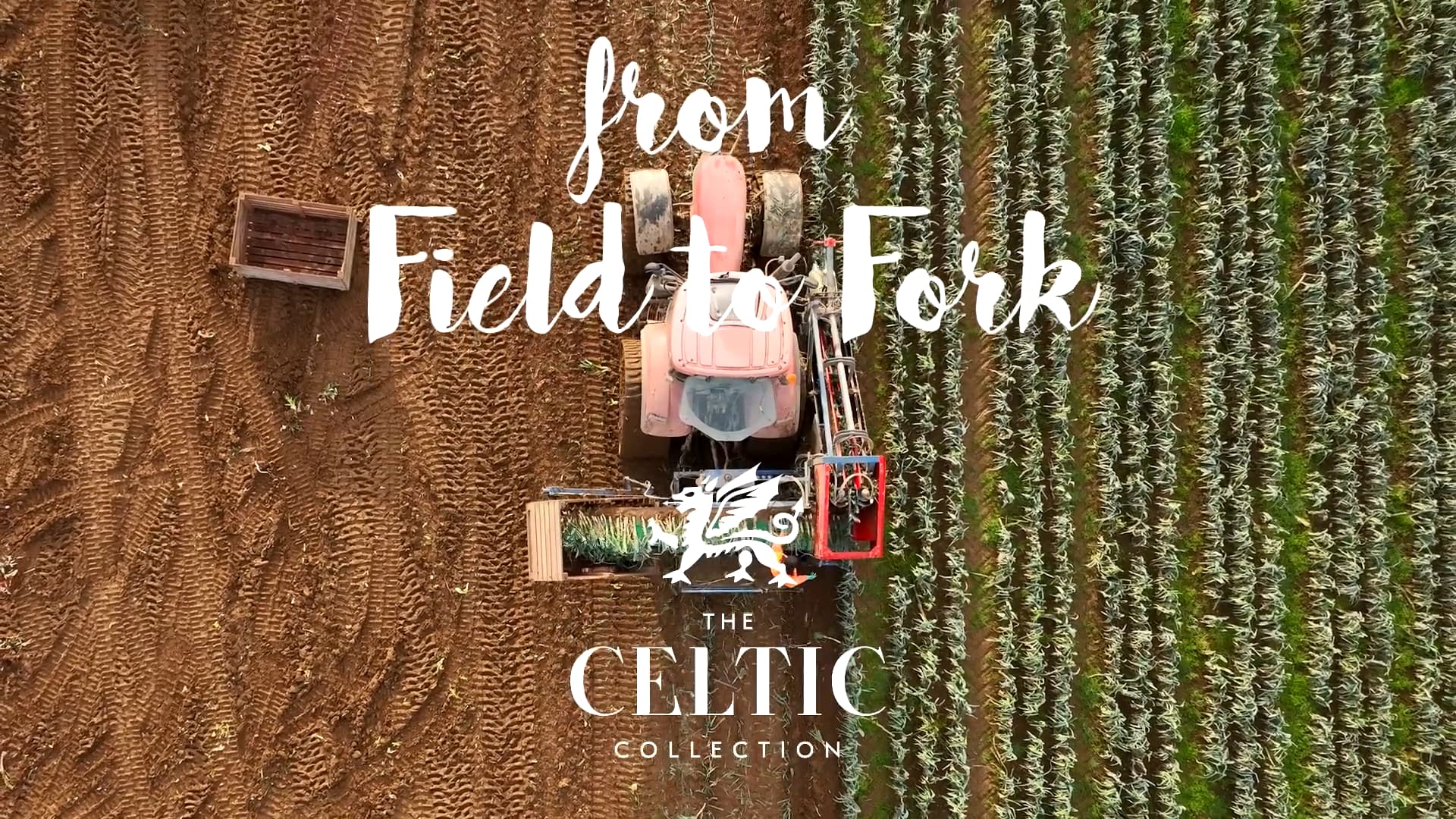 From Field to Fork