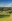 Montgomerie Golf Course