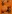 The Pumpkin Patch at Celtic Manor Resort South Wales Near Cardiff
