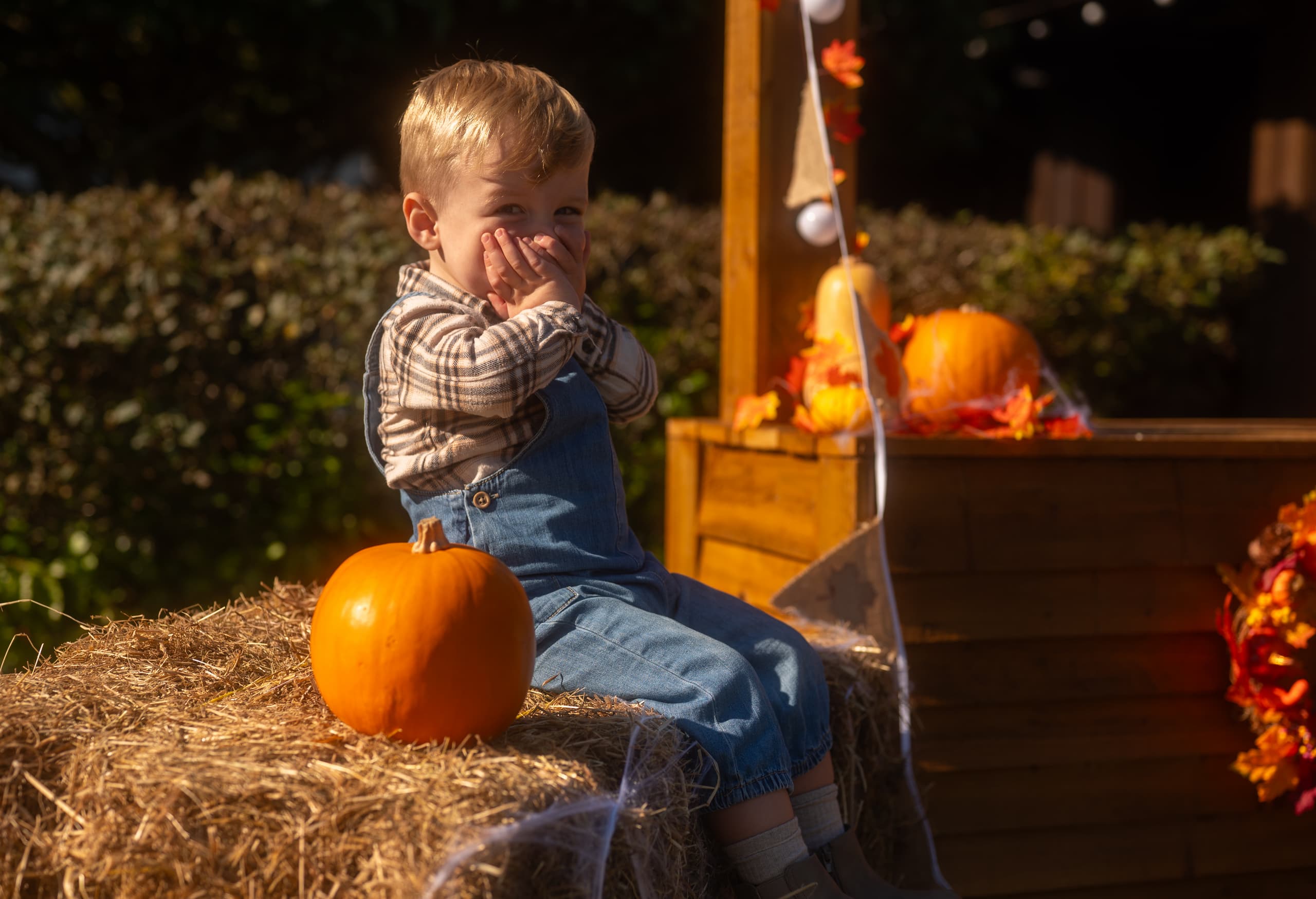 Pumpkin Patch October Half Term Activity at Celtic Manor Resort