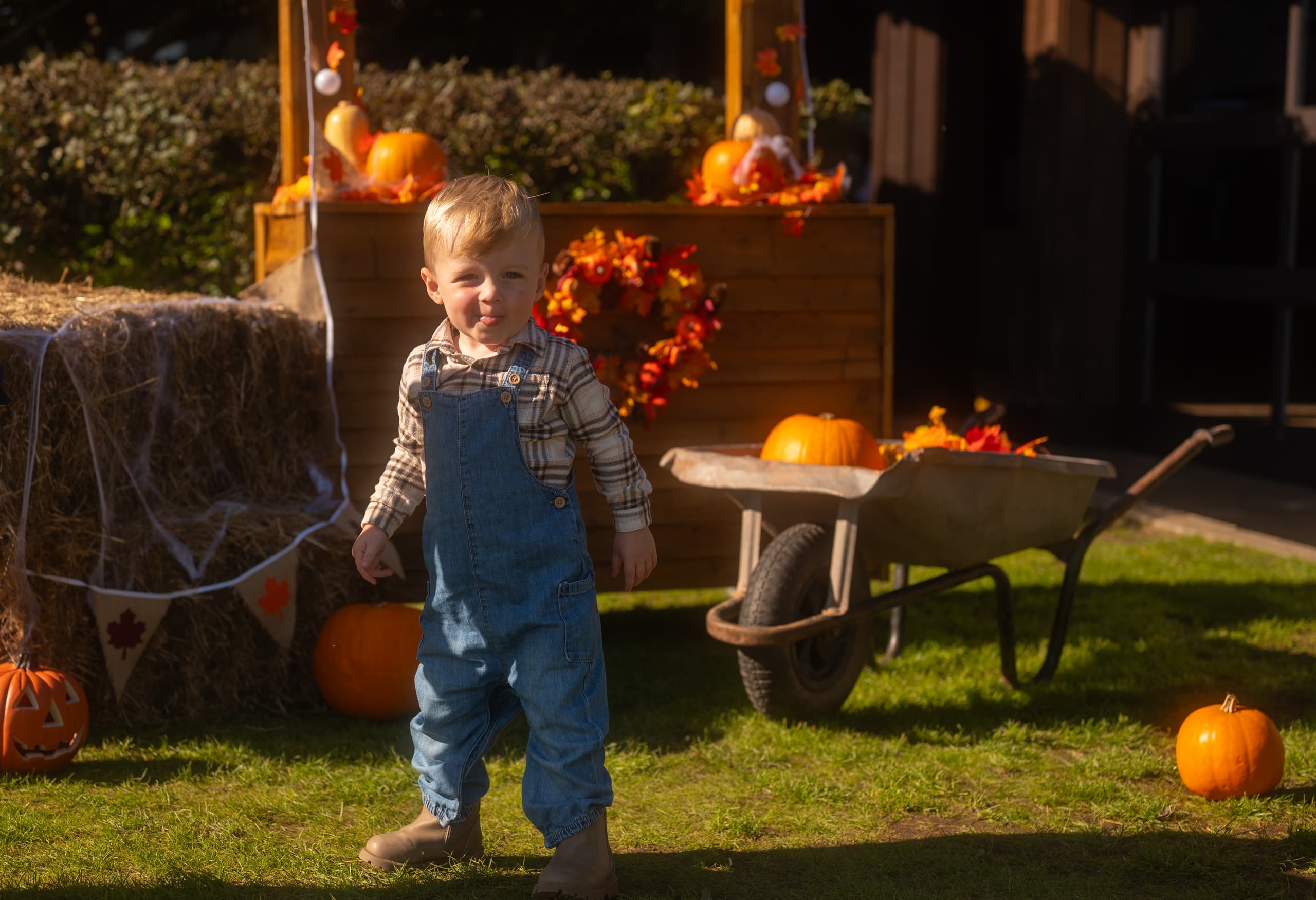 Pumpkin Patch October Half Term Activity at Celtic Manor Resort