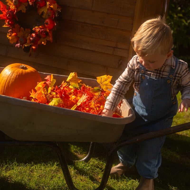 Pumpkin Patch October Half Term Activity at Celtic Manor Resort