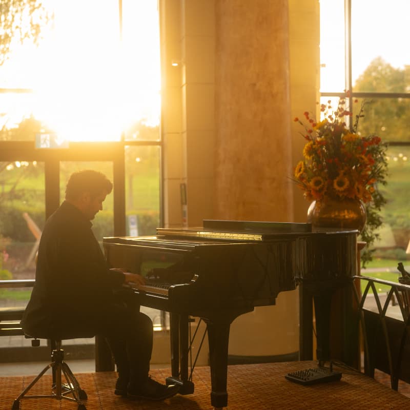 Live Music and Drinks at The Olive Tree