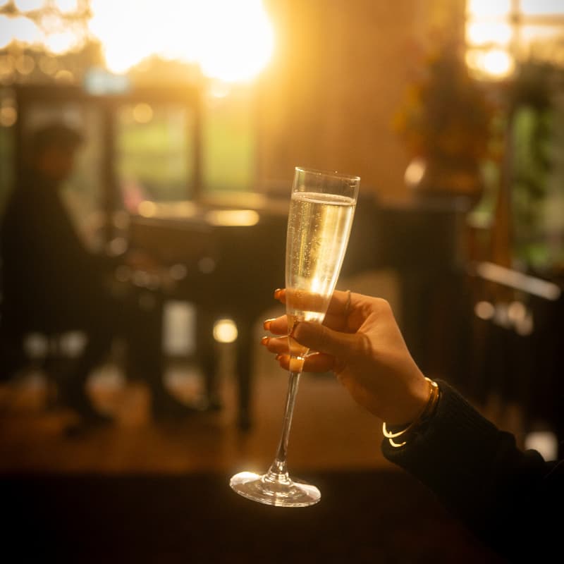 Live Music and Drinks at The Olive Tree