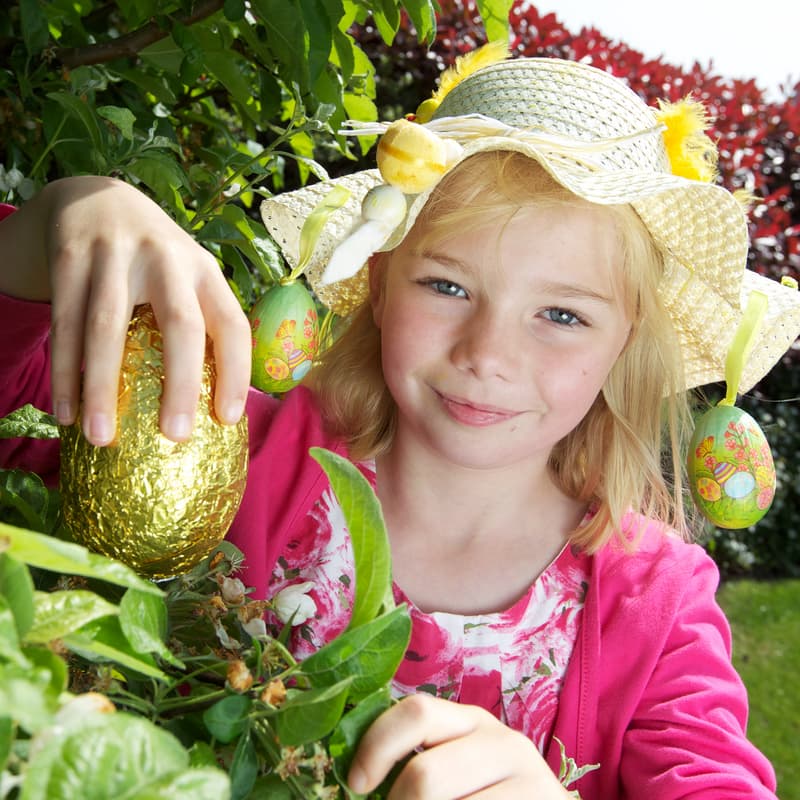 Easter Egg Treasure Hunt