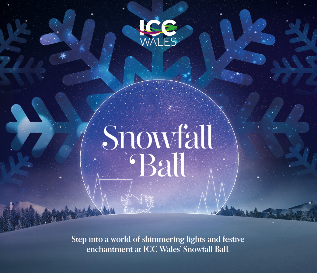 Snowfall Ball ICC Wales