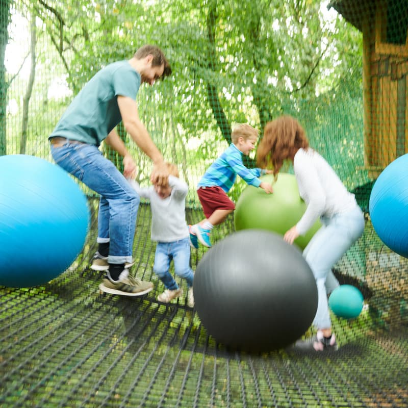 Forest Nets Family Activity at Celtic Manor Resort