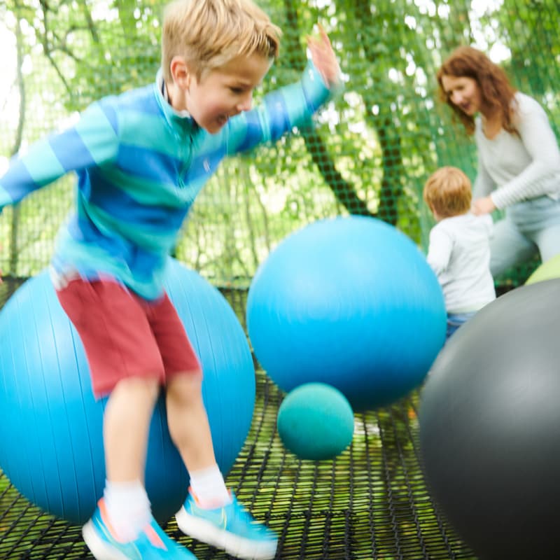 Forest Nets Family Activity at Celtic Manor Resort