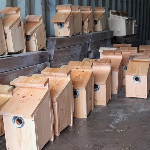 Bird Boxes