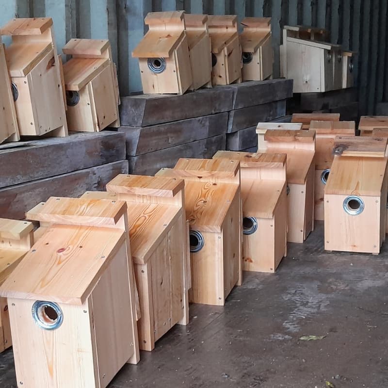 Bird Boxes