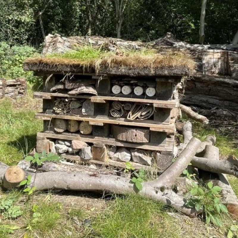 Bug Hotel
