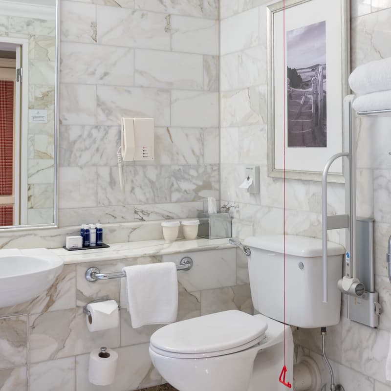 Accessible Room