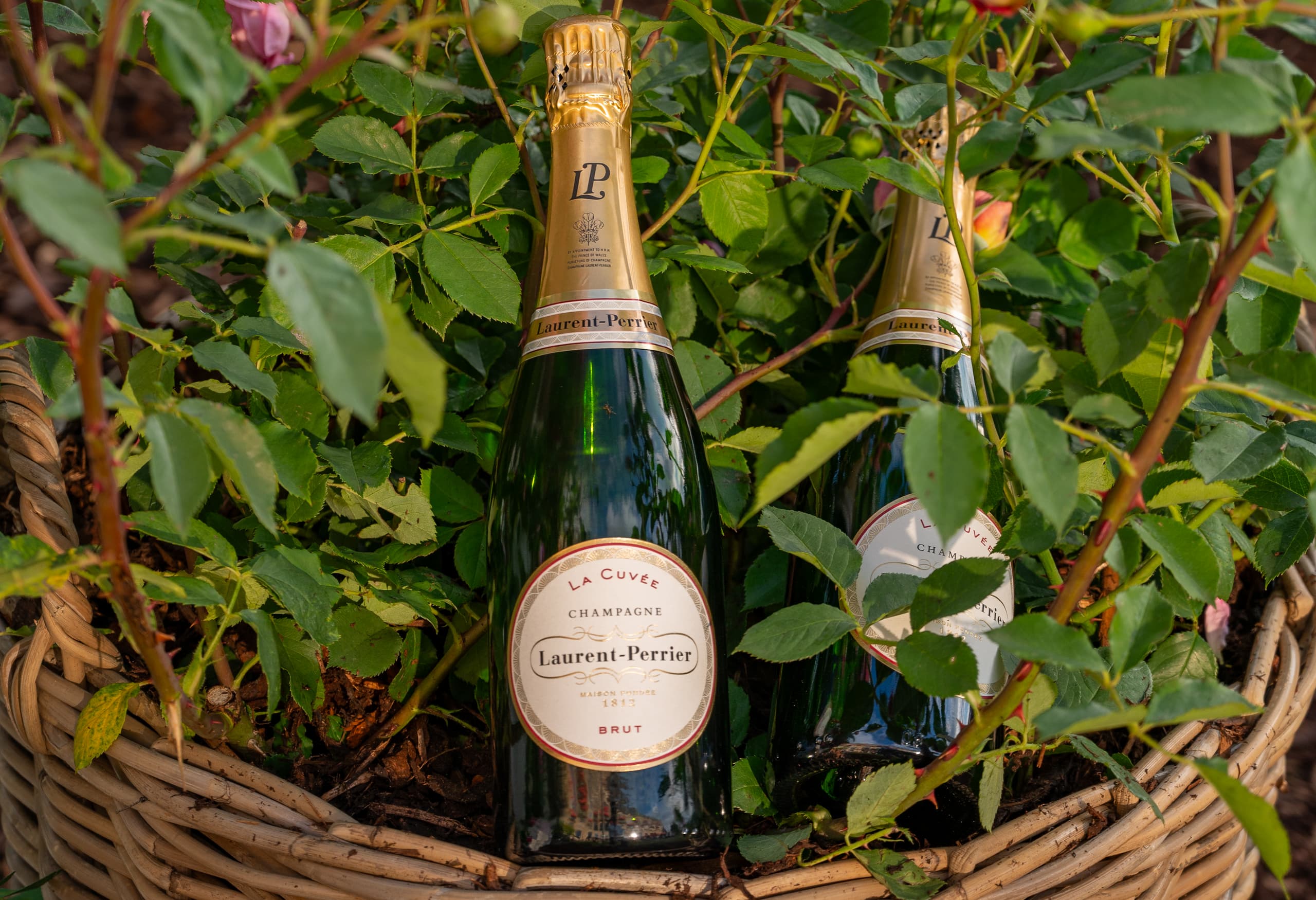 Laurent Perrier Champagne Garden at Celtic Manor Resort