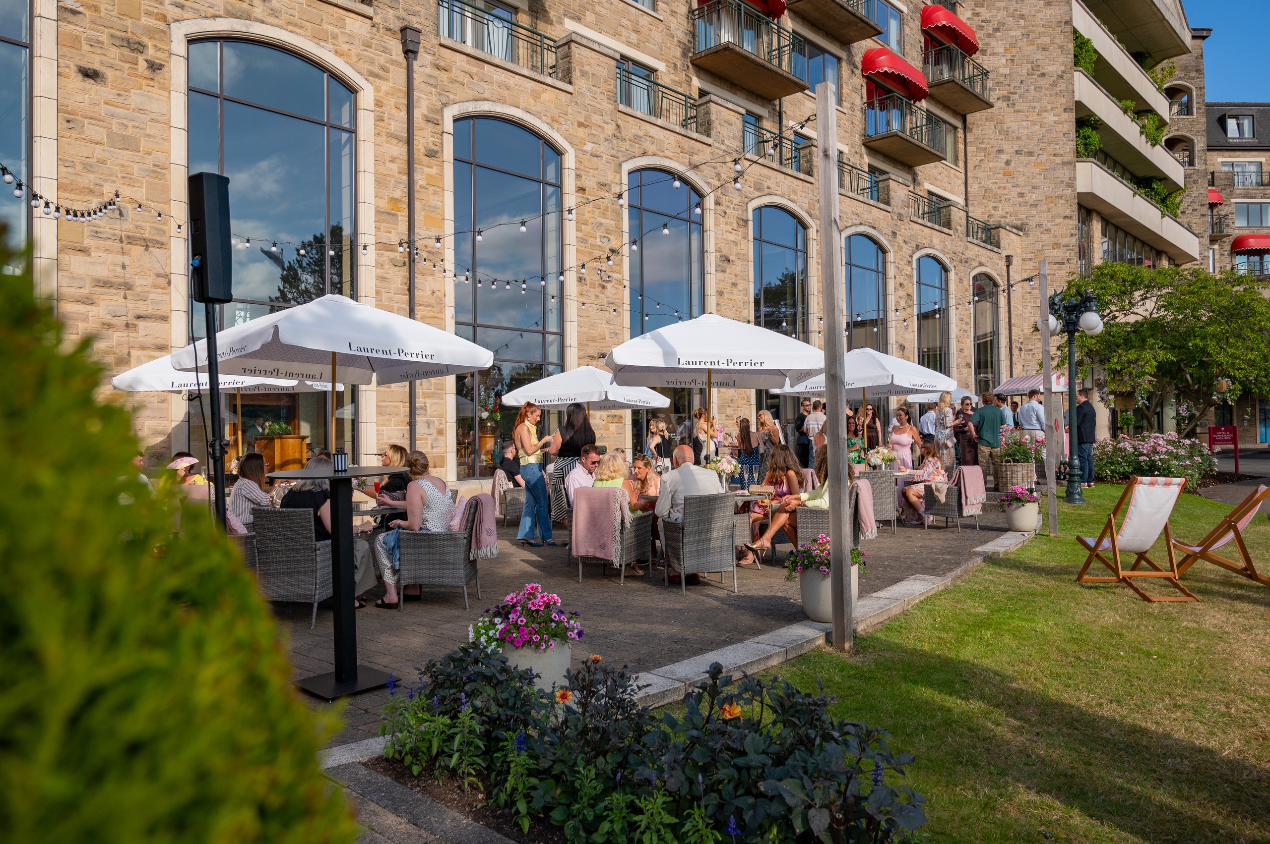 Olive Tree Al Fresco